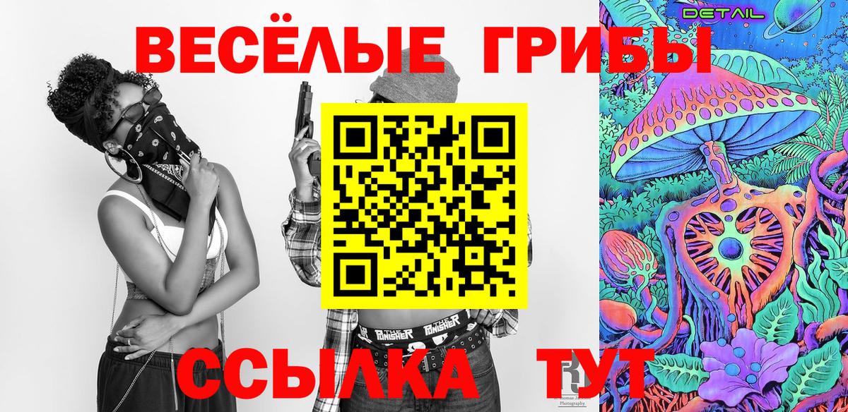 Галлюциногенные грибы Psilocybe Якутск
