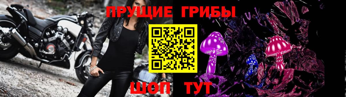 Якутск  Галлюциногенные грибы Cubensis  Вход с VPN 